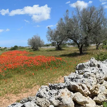 Mios Villa *