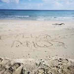 Mios *
