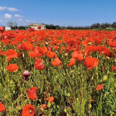 Mios Villa Muro Leccese