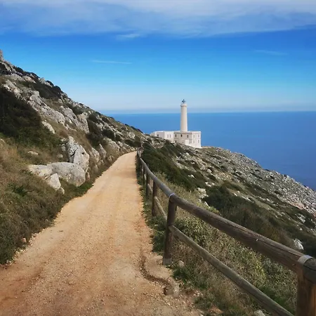 Mios Muro Leccese