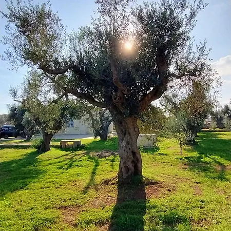Villa Mios Muro Leccese