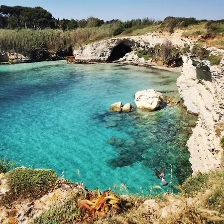 别墅 Mios 穆罗莱切塞