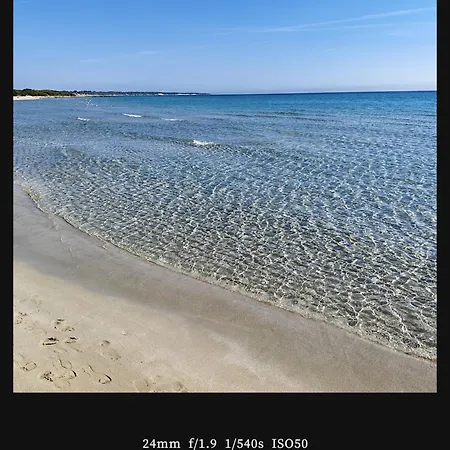 Mios *