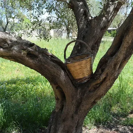 Вилла Mios *
