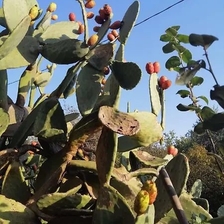 Mios Villa Muro Leccese